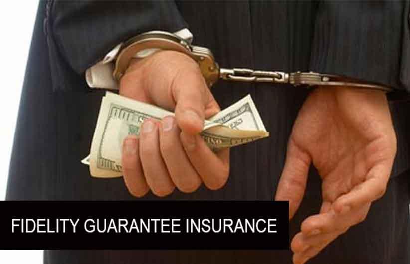 Burglary, Fidelity Guarantee & Money Insurance